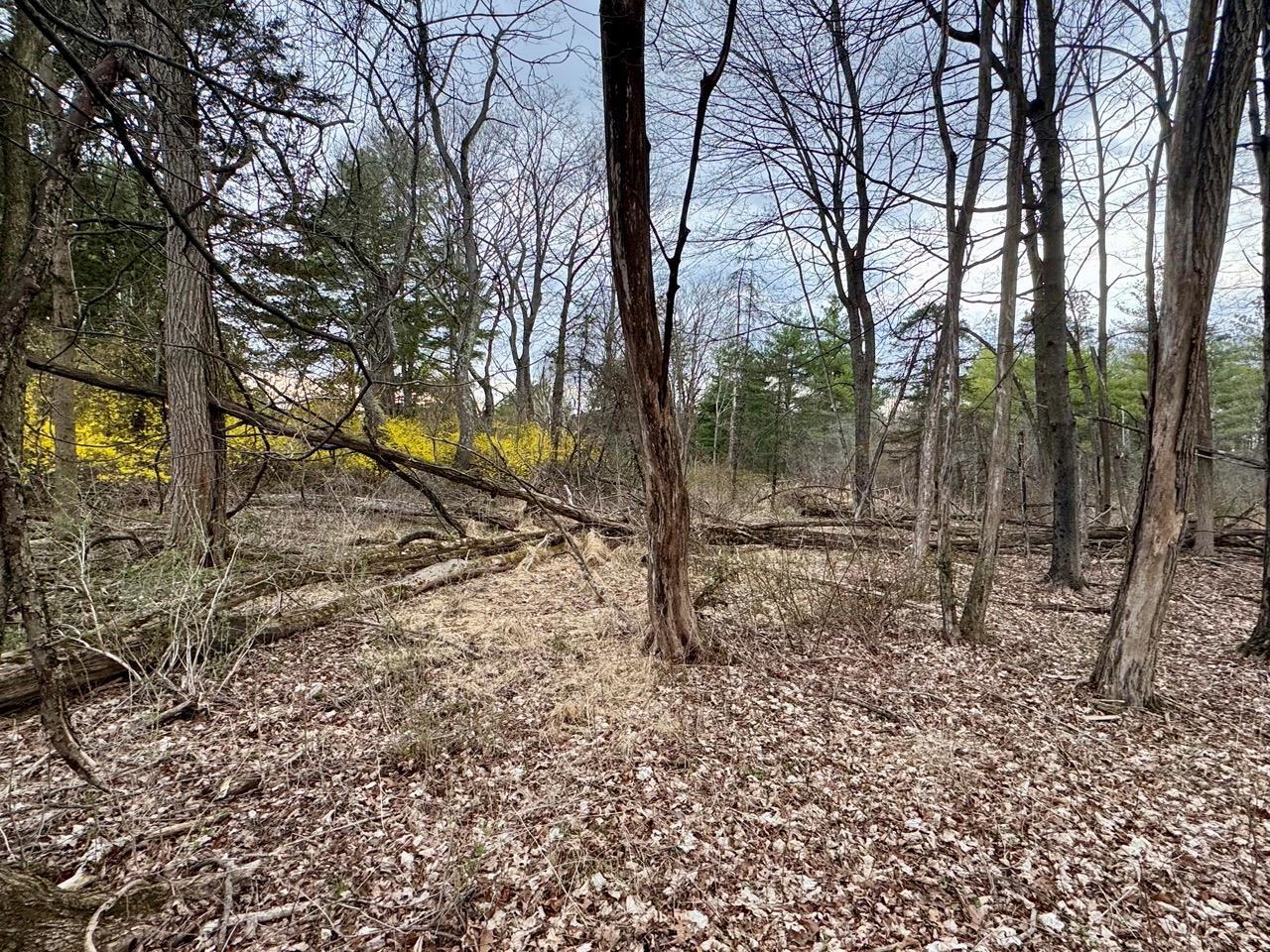 Property Photo: 0 Smith Road NY 12603