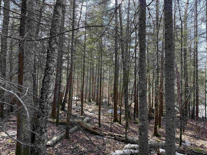 Property Photo: 1xx W 13th Ave MN 55604