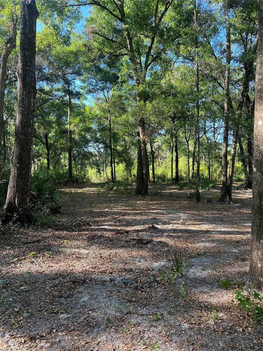 Property Photo: SW 118th Lane FL 33597