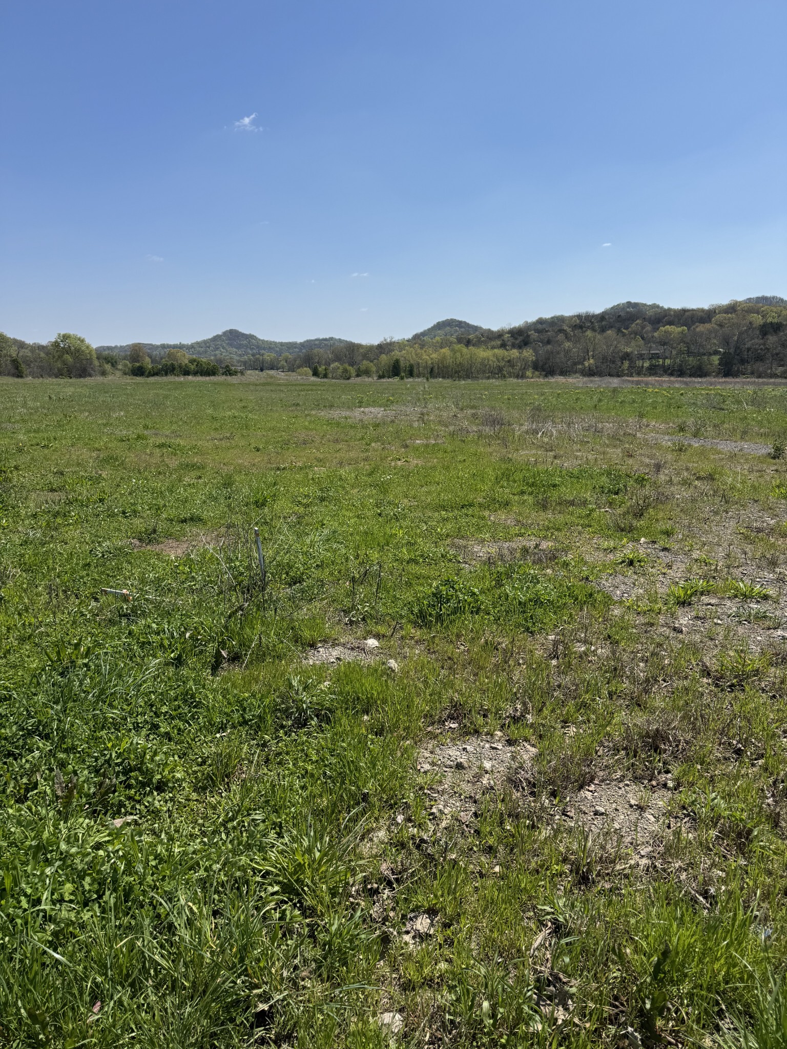 Property Photo: 102 Creek Bank Dr TN 37022