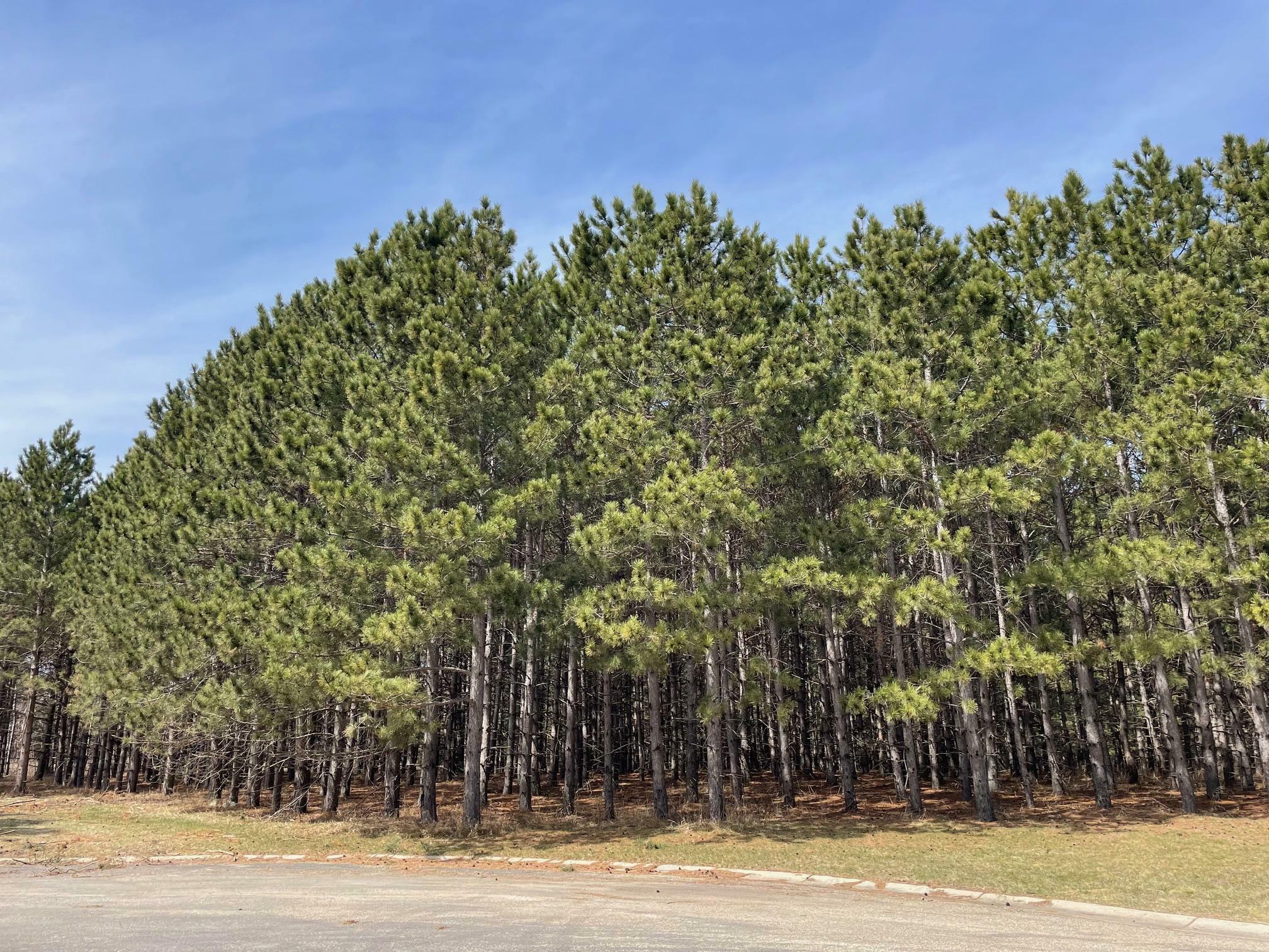 Property Photo: Xxxx Emerald Court NE MN 56319