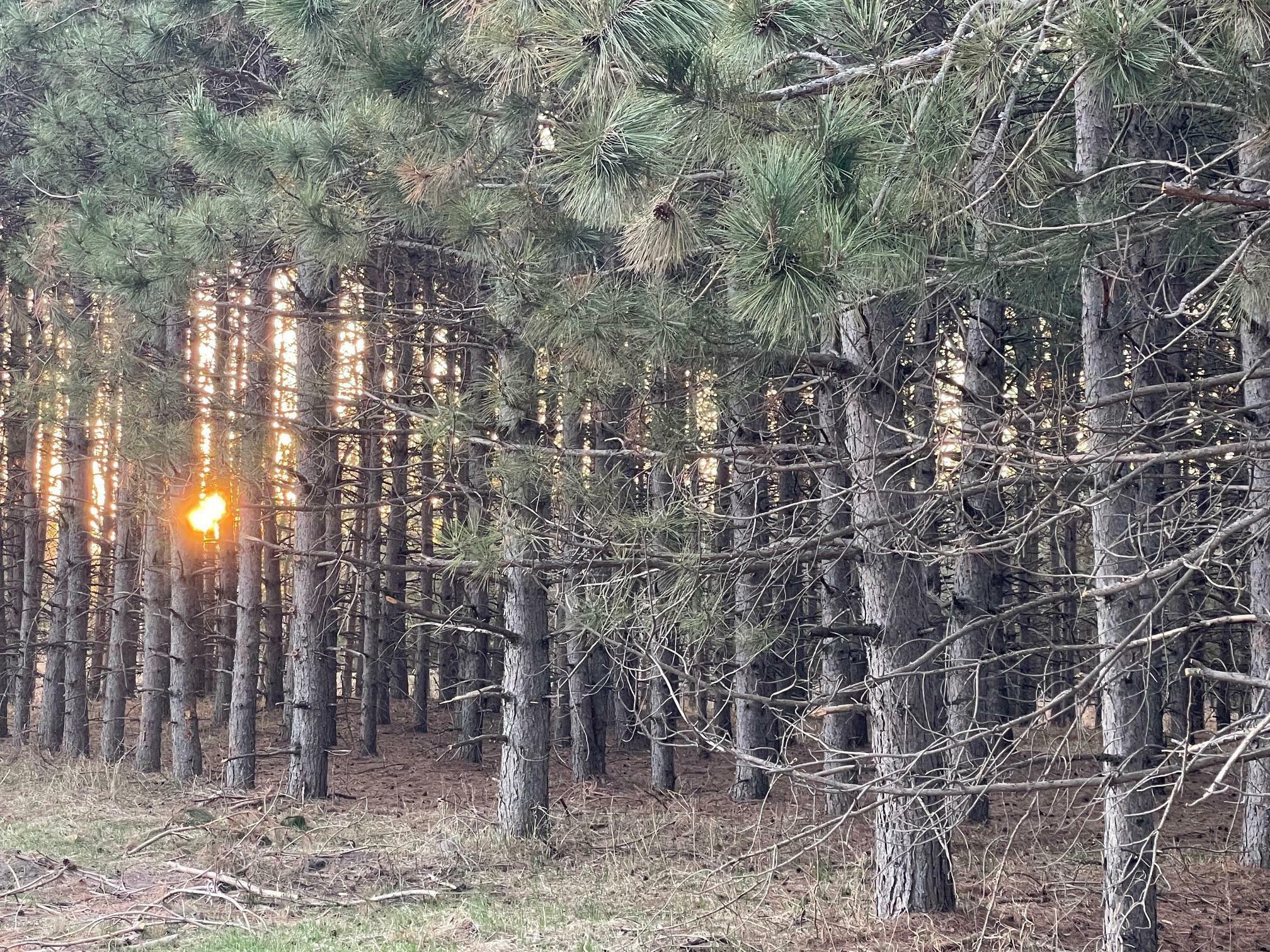 Property Photo:  Xxxx Emerald Court NE  MN 56319 