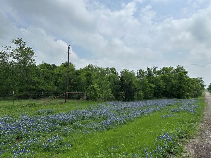 Property Photo:  Tbd Lcr 628  TX 76642 