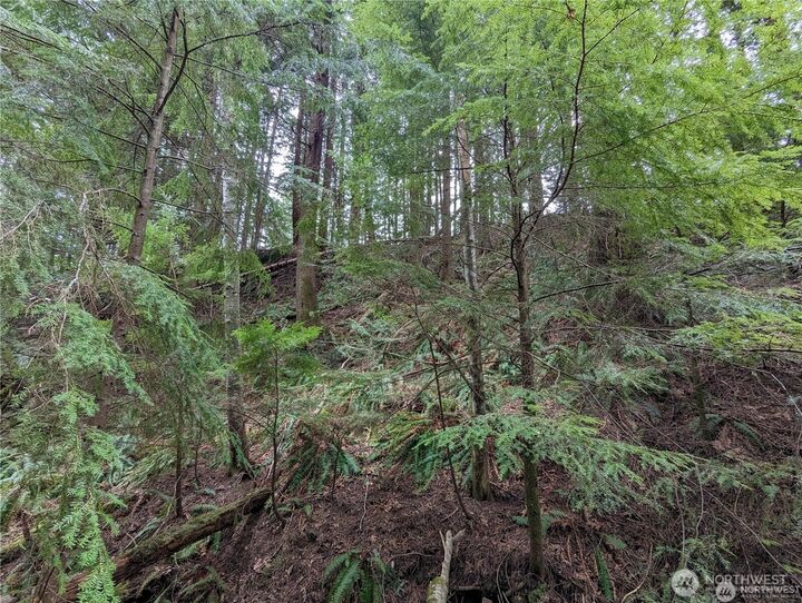 14  Black Bear Court A  Bellingham WA 98229 photo