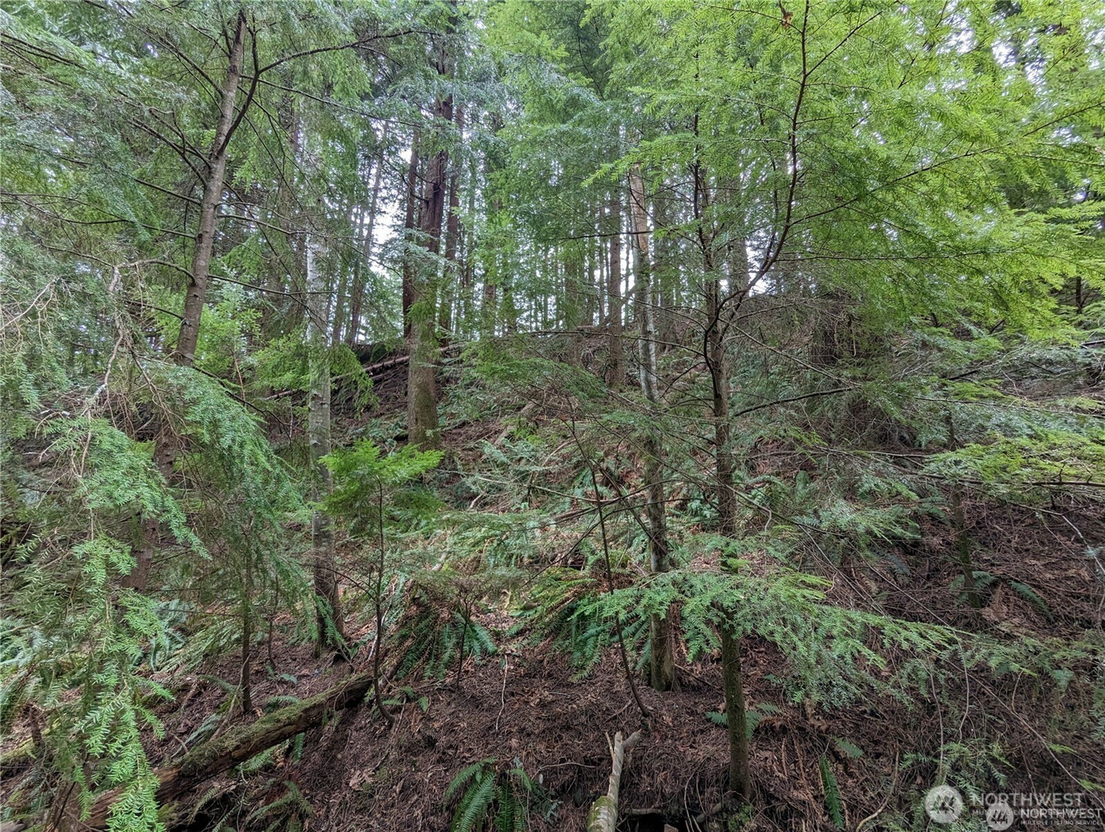 Property Photo: 14 Black Bear Court A WA 98229