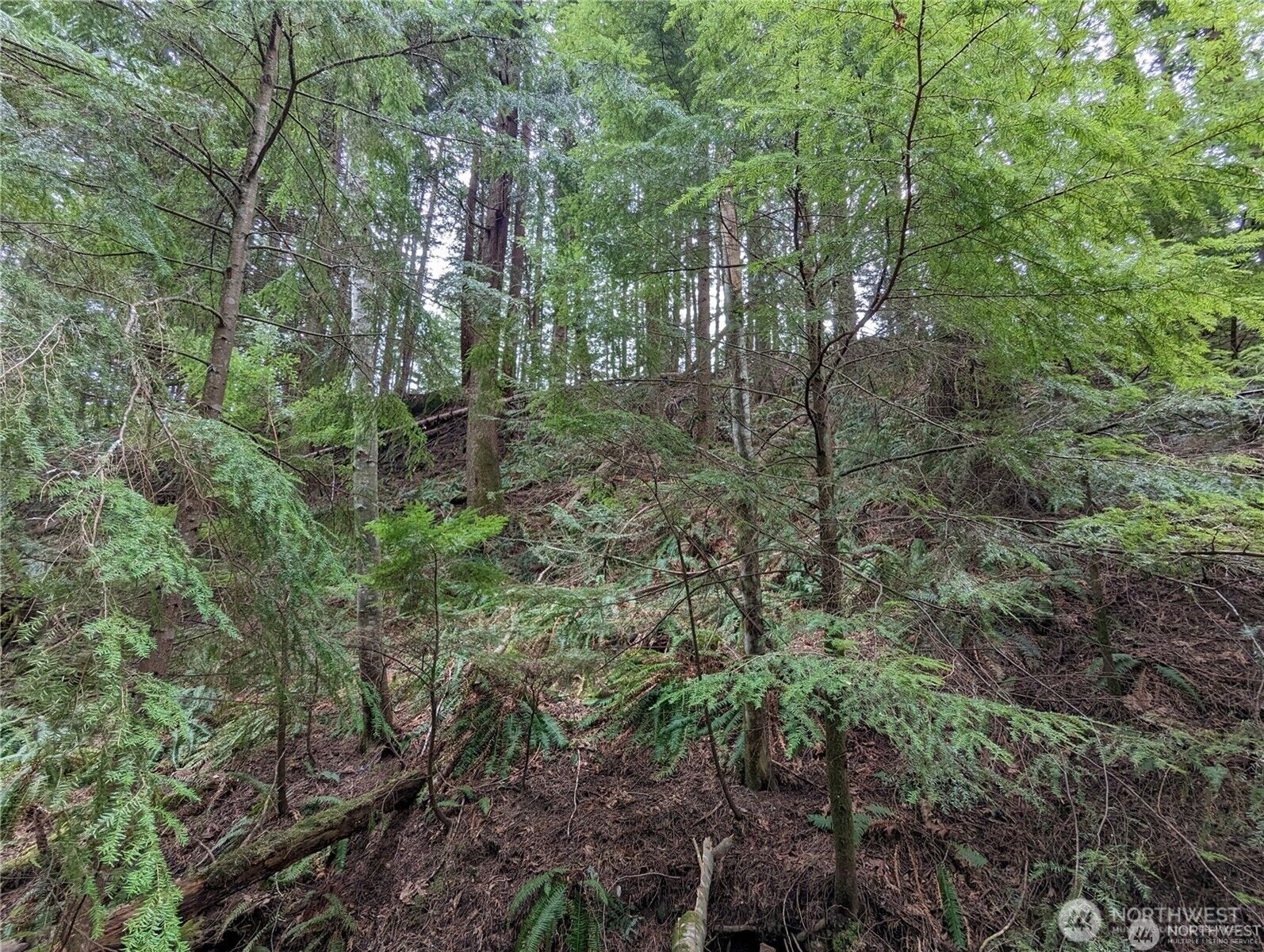 Property Photo:  14  Black Bear Court A  WA 98229 