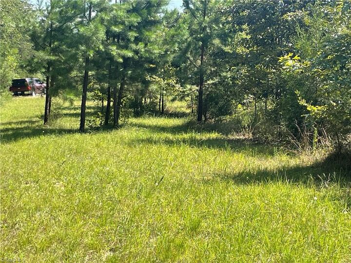 Property Photo:  0 Julia Avenue  NC 27360 