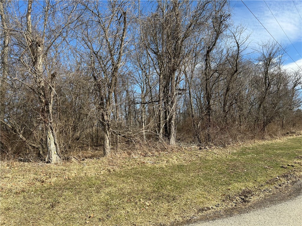 0 2nd Street  Redstone Twp PA 15420 photo