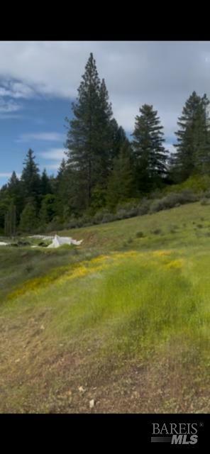 Property Photo:  34290 Mendocino Pass Road  CA 95428 