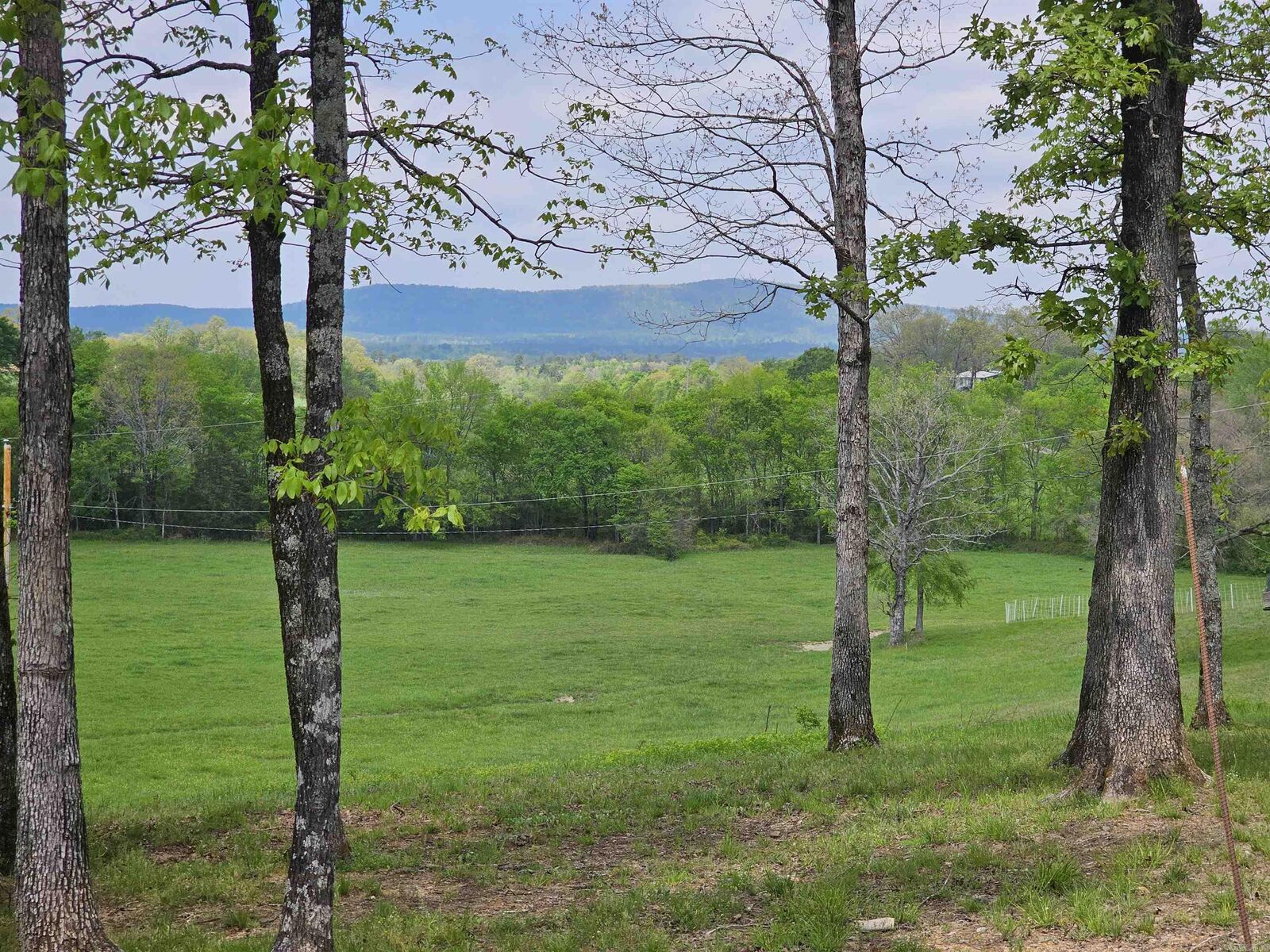 Property Photo: 991 Union Hill Road AR 71970