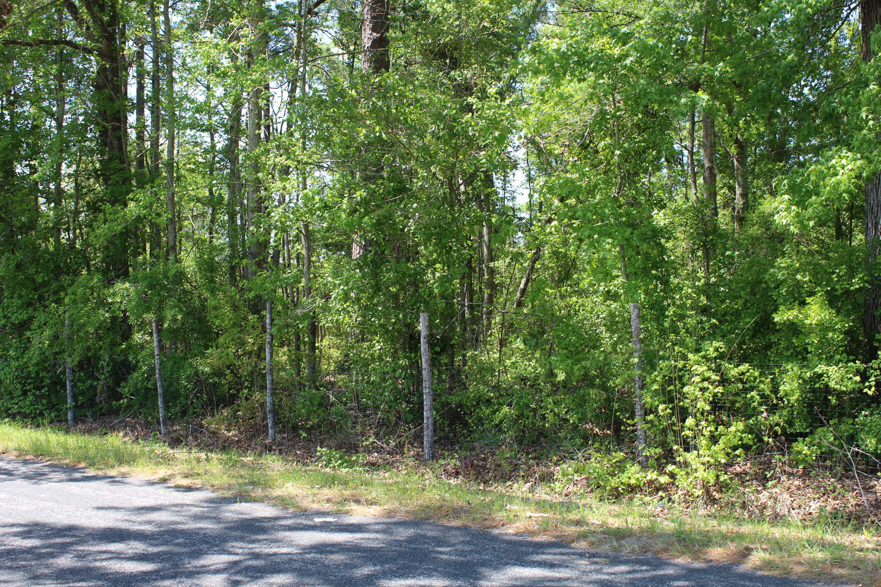 Property Photo:  2411 Drain Road  SC 29481 