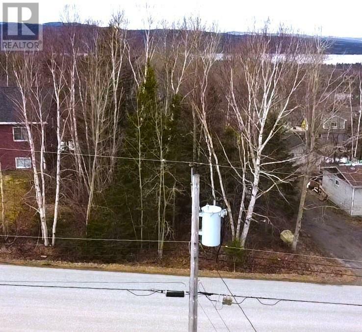 Property Photo:  8 Hillview Avenue  NL A0L 1K0 