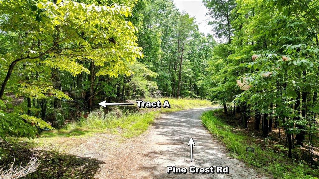 Property Photo: 47 Ac Pine Crest GA 30143