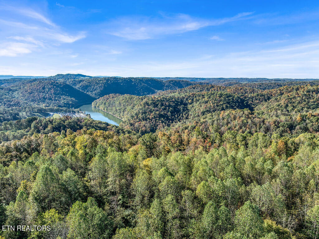 Property Photo: Friendship Hollow Rd TN 37870