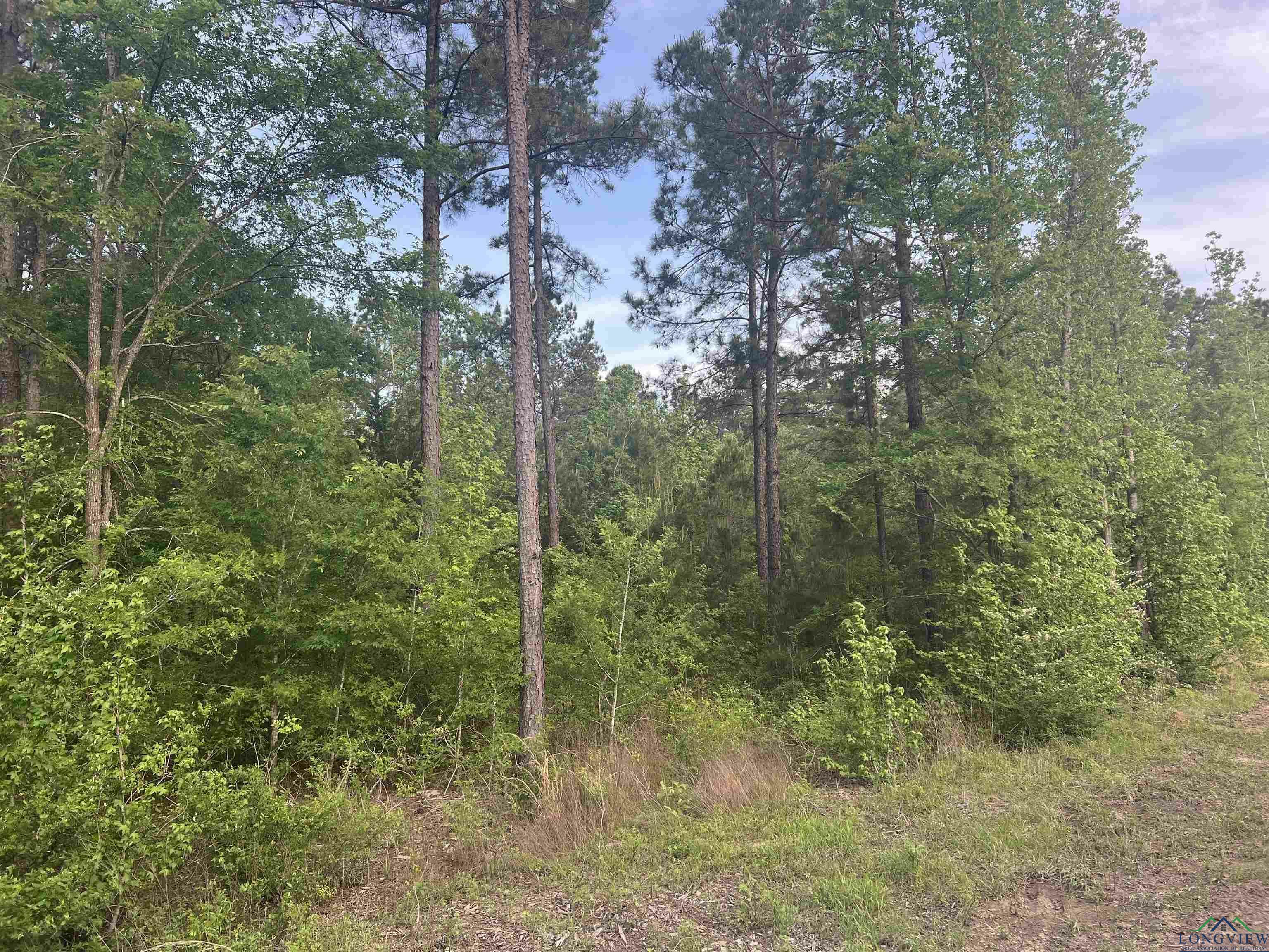 Property Photo: Cr 477 Tract 3 TX 75654