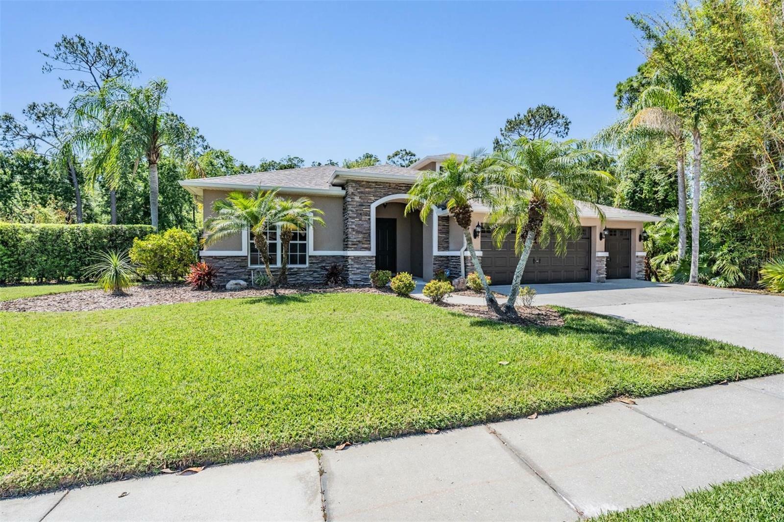 12801 Castlemaine Drive  Tampa FL 33626 photo