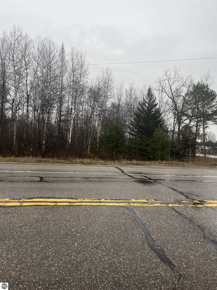 Property Photo: 0 N Michigan Avenue MI 49663