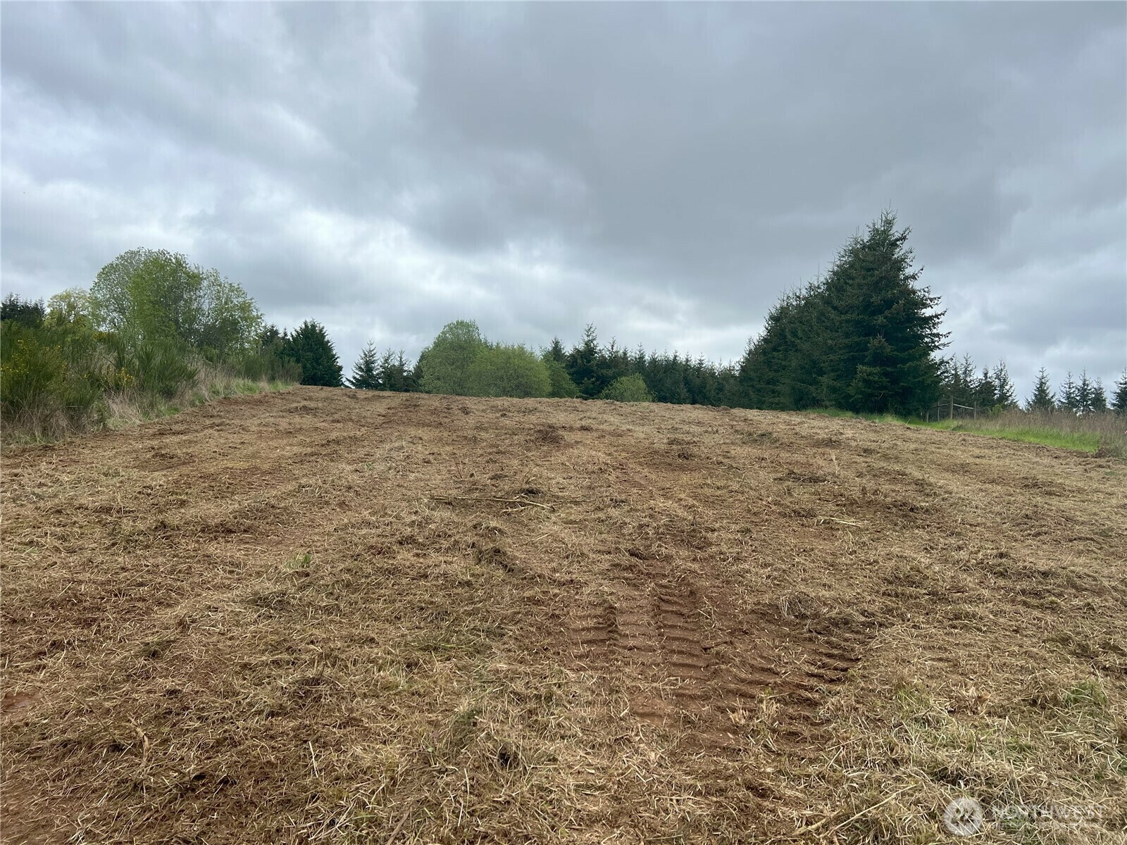 Property Photo: 113 Red Rock Lane WA 98532