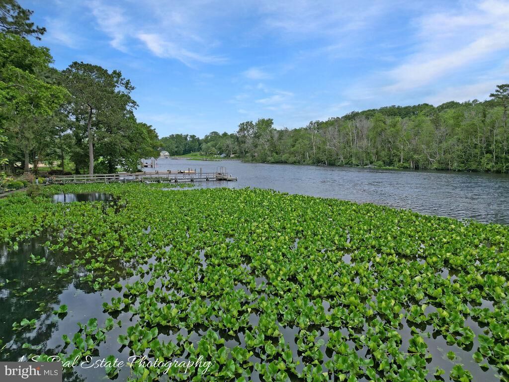 Property Photo:  30833 Dogwood Drive  DE 19956 