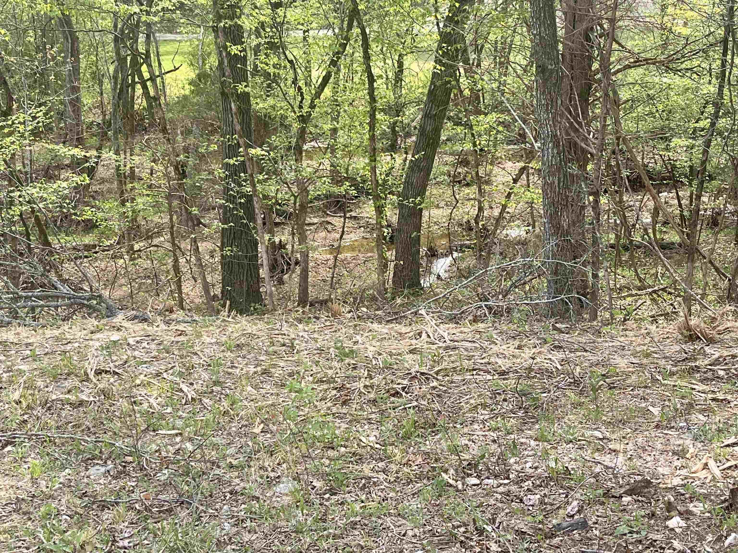 Property Photo: Tbd Rainbow Drive AR 72542