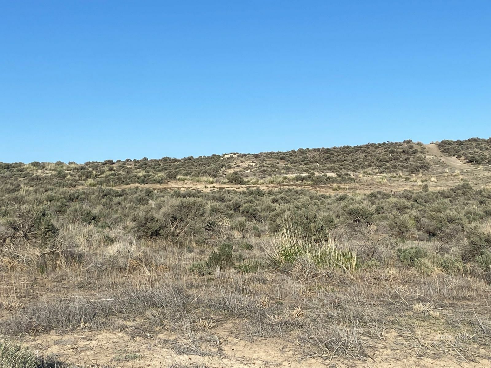 Property Photo: Horsehaven Dr/Jackson NV 89801