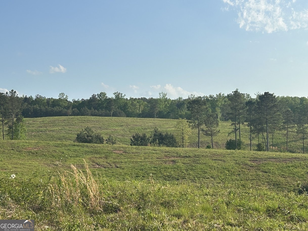 Property Photo: 0 Needmore Road - (345.37 Acres) GA 30170