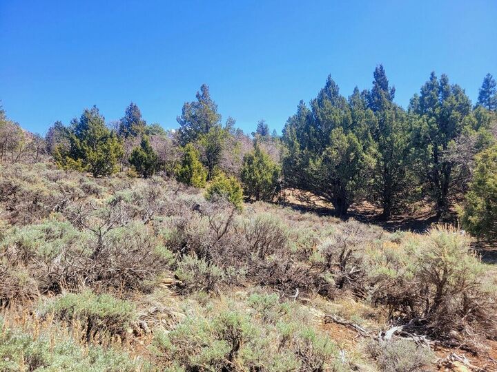 Property Photo:  Lot 5 Valley View Dr  UT 84762