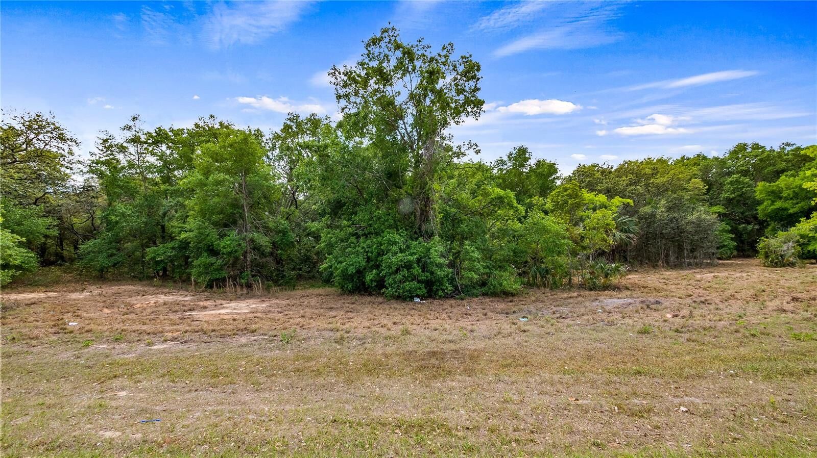 Property Photo:  County Road 455  FL 34756 