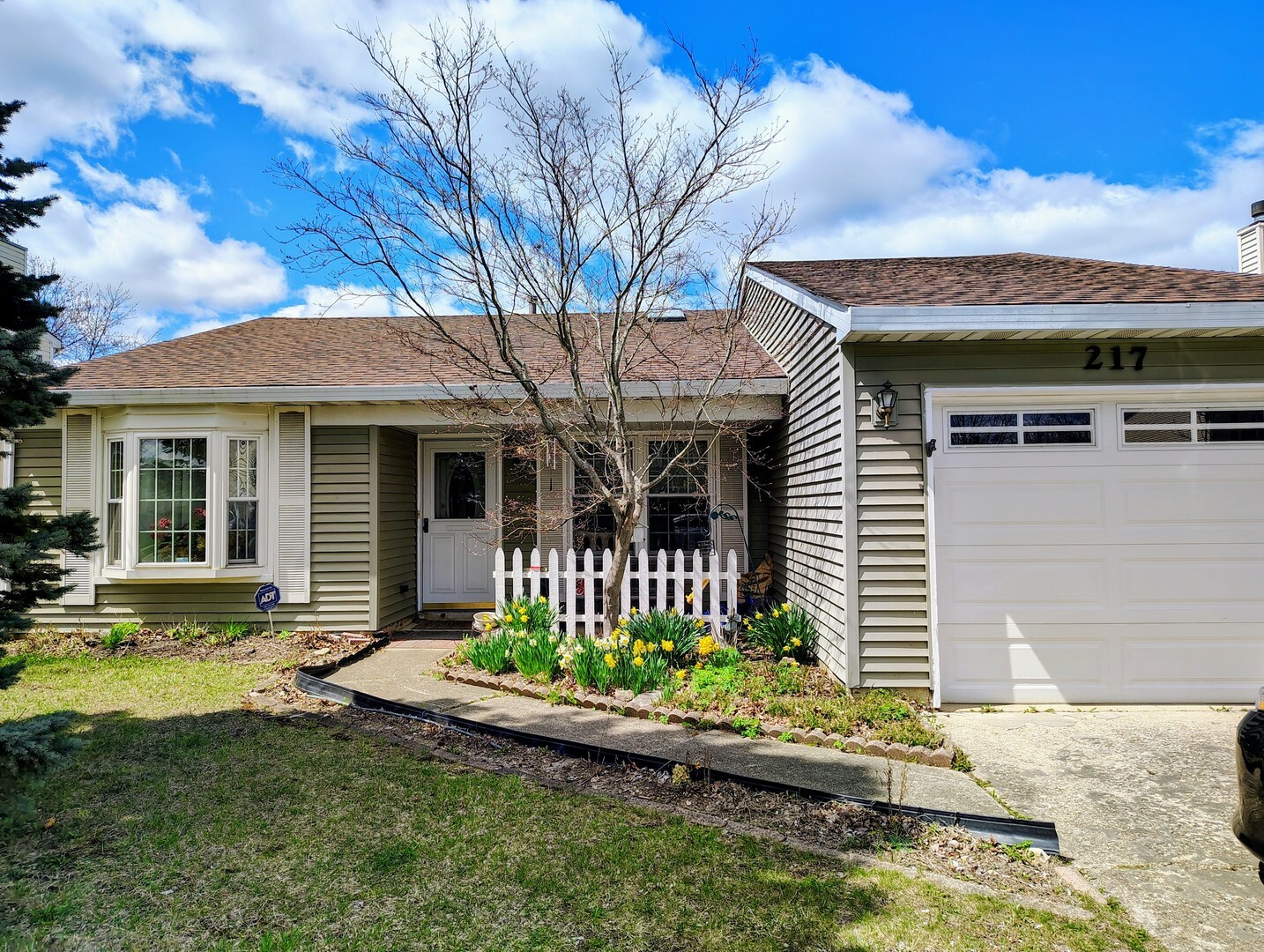 Property Photo: 217 N Lancaster Drive IL 60440