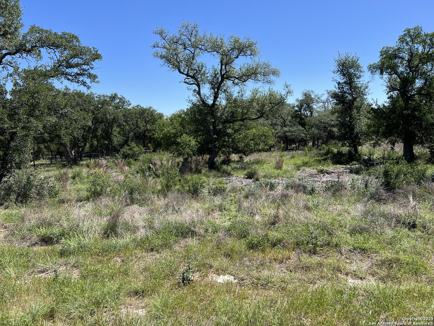 Property Photo: 287 Curvatura TX 78132