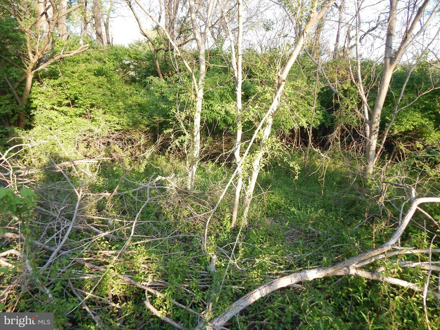 Property Photo: Lot 93 Siebert Street WV 25404