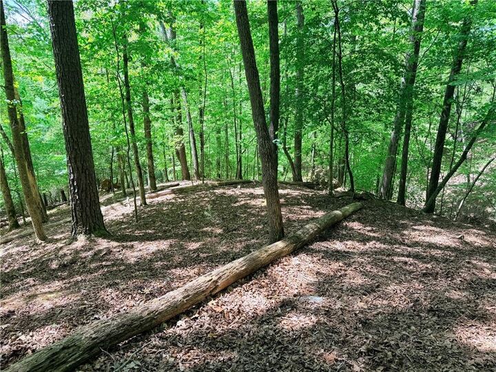 Property Photo:  2075 Parody Circle  GA 30540 