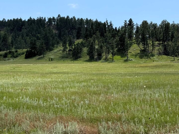 Property Photo: E6 Soaring Eagle Road WY 82720