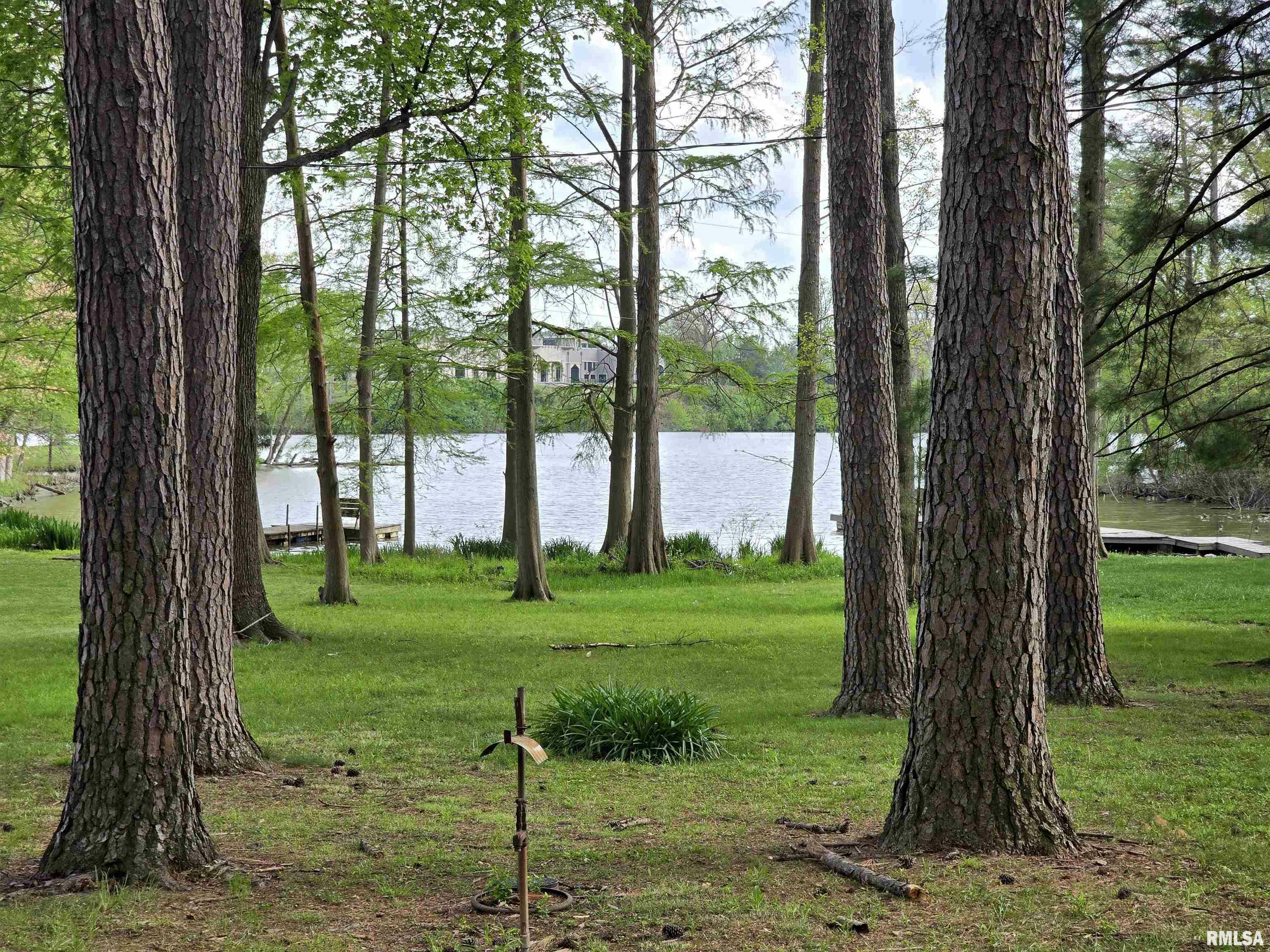 Property Photo: 1831 Duck Lane IL 62801