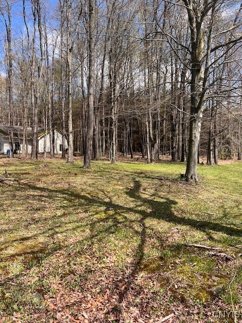 3284 Walden Oaks Boulevard  Cortland NY 13045 photo
