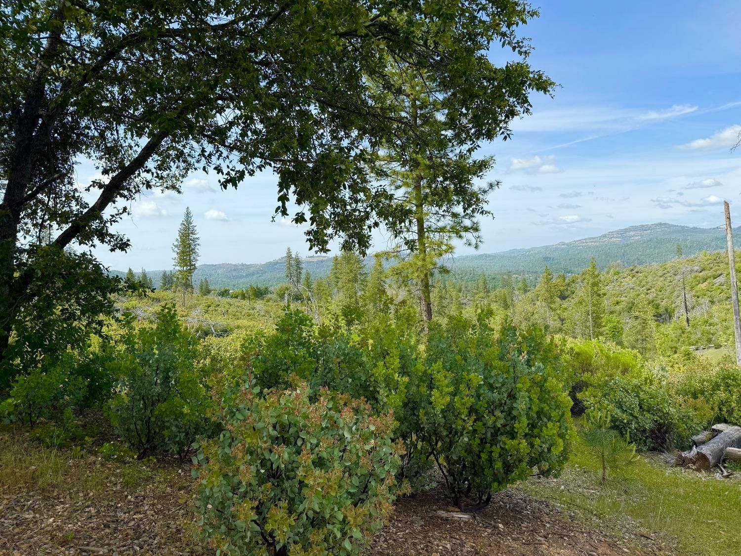Property Photo: 0 Fricot City Rd CA 95246