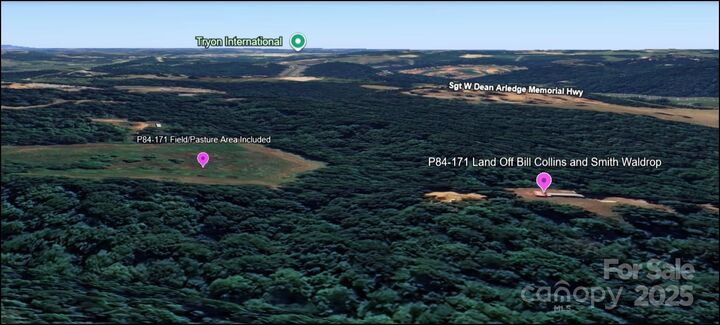 00 Bill Collins Road  Columbus NC 28756 photo