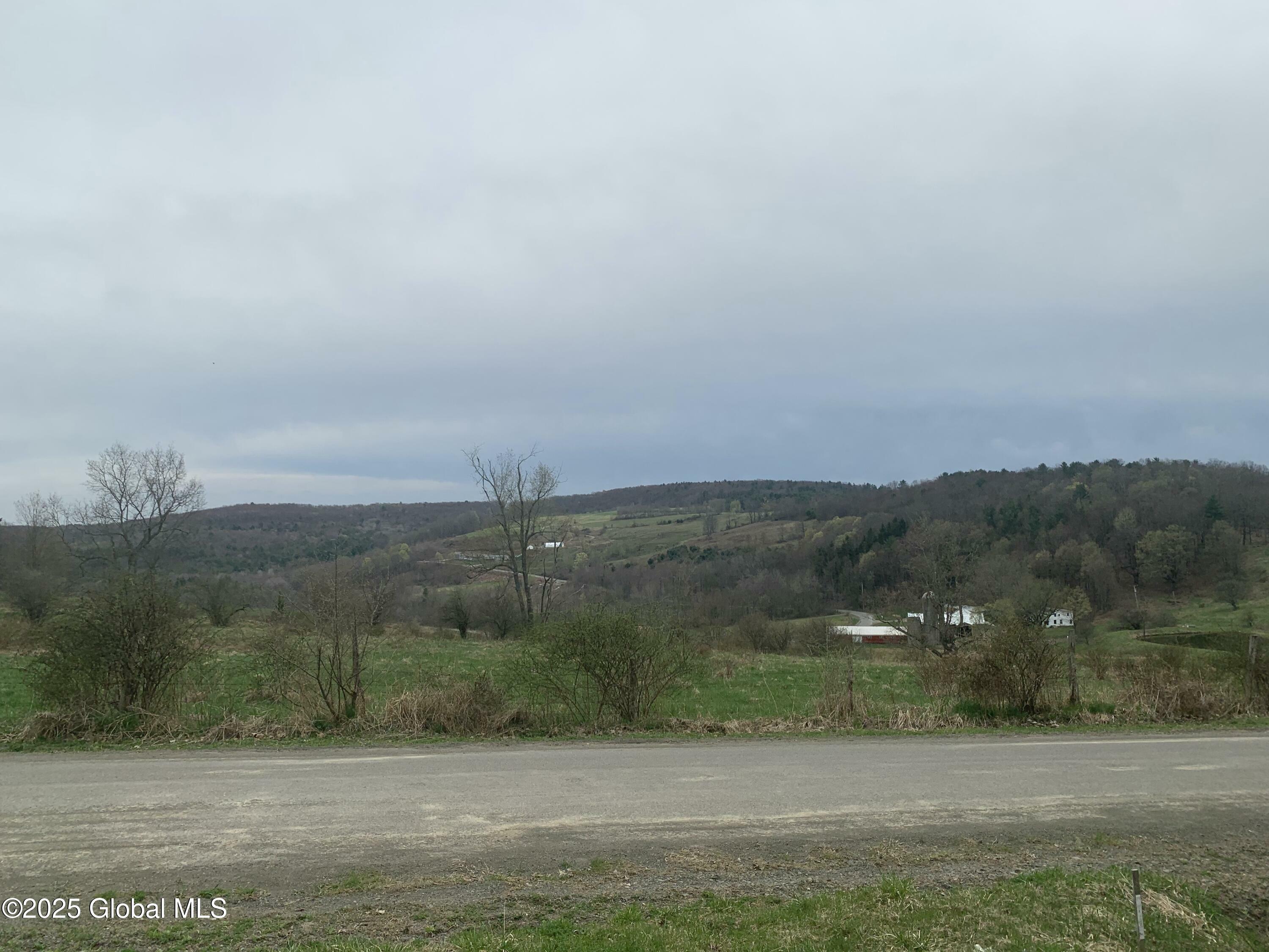 Property Photo: 19 Holcomb Road NY 13787