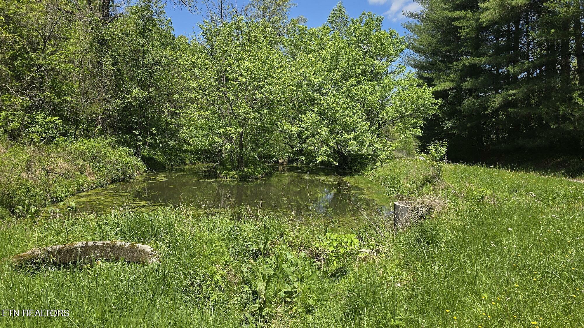 Property Photo: Dooley Hollow Rd VA 24248