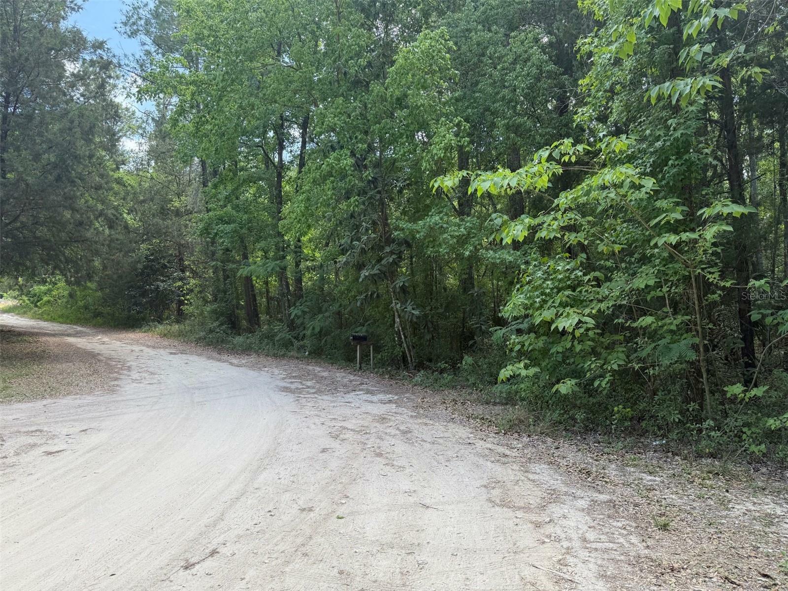 Property Photo: Tbd SW 135 Terrace FL 34481