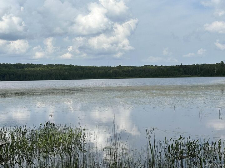 Property Photo:  Off Forest 8300 Road  MI 49947 