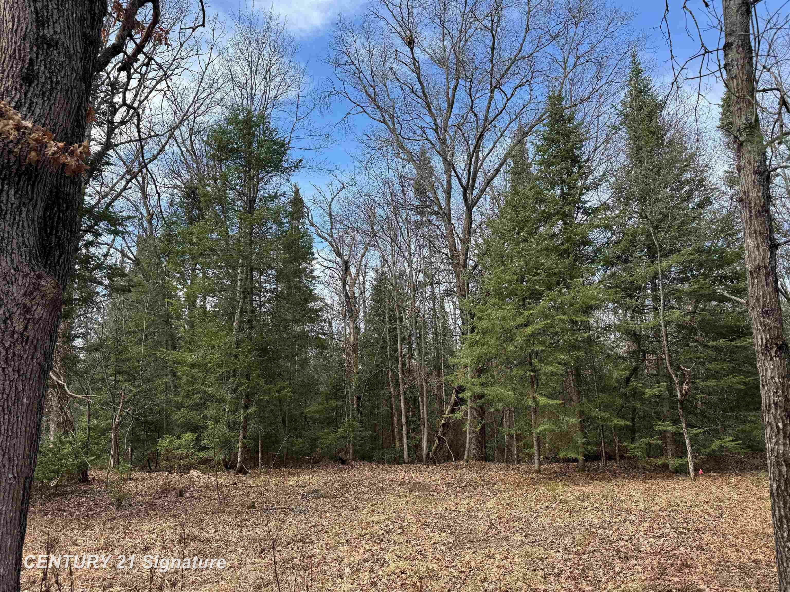 Property Photo: V/L Steckert Bridge Road MI 48653