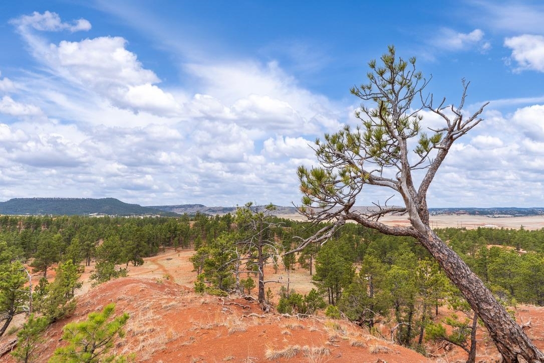 Property Photo:  Lot 20 Cody Road  SD 57747 