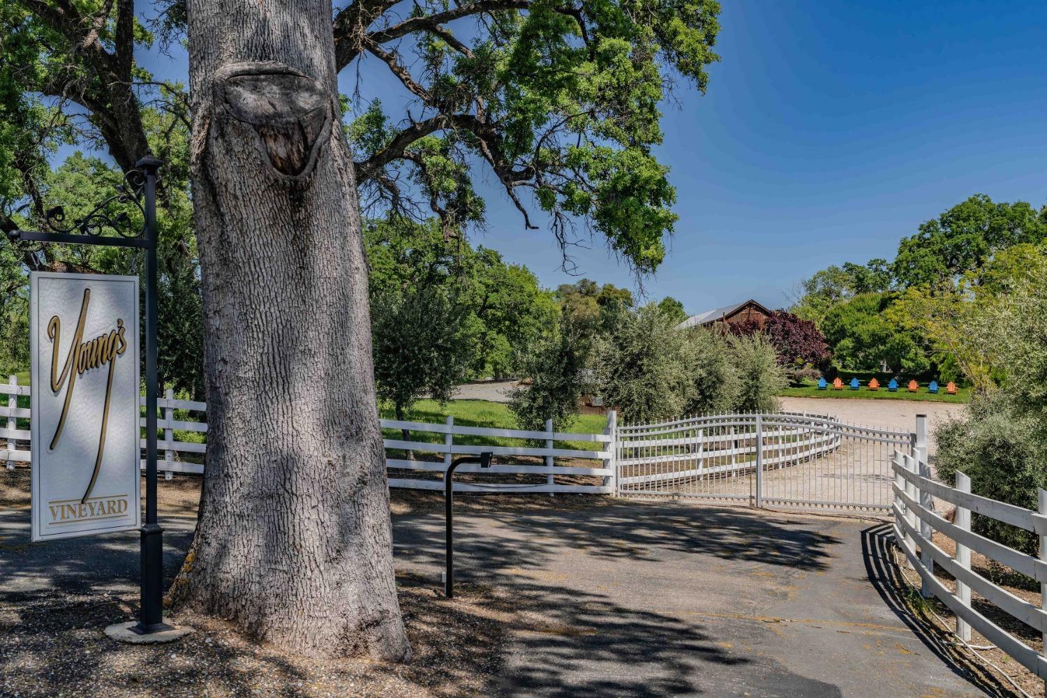 Property Photo:  10120 Shenandoah Rd  CA 95669 