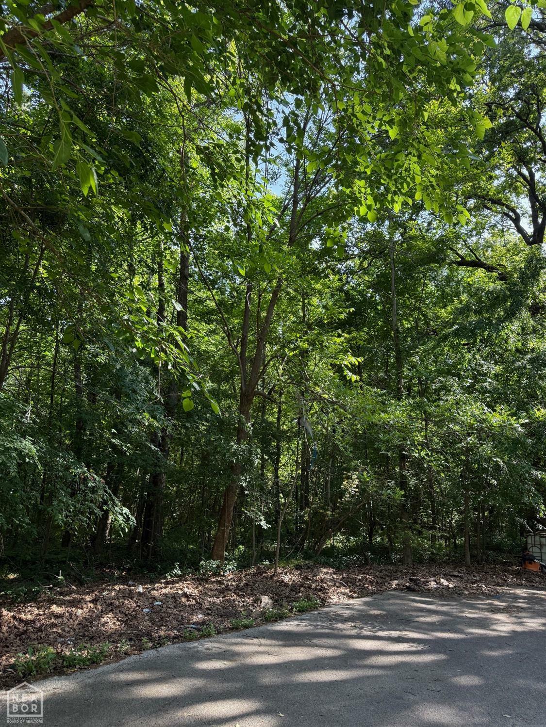 Property Photo: 13 Darlene AR 72405