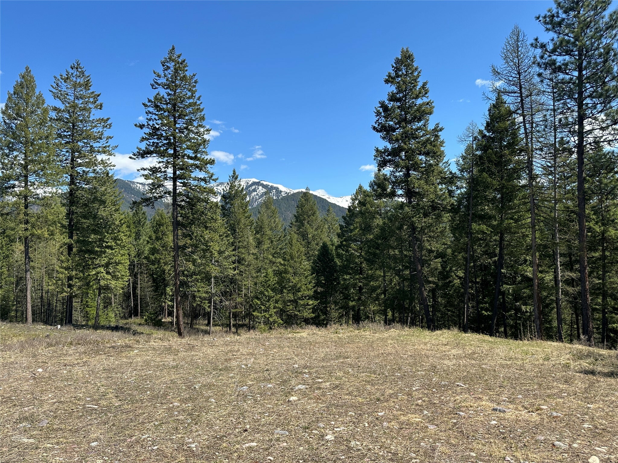Property Photo: 1226 Rolling Ridge Loop MT 59901