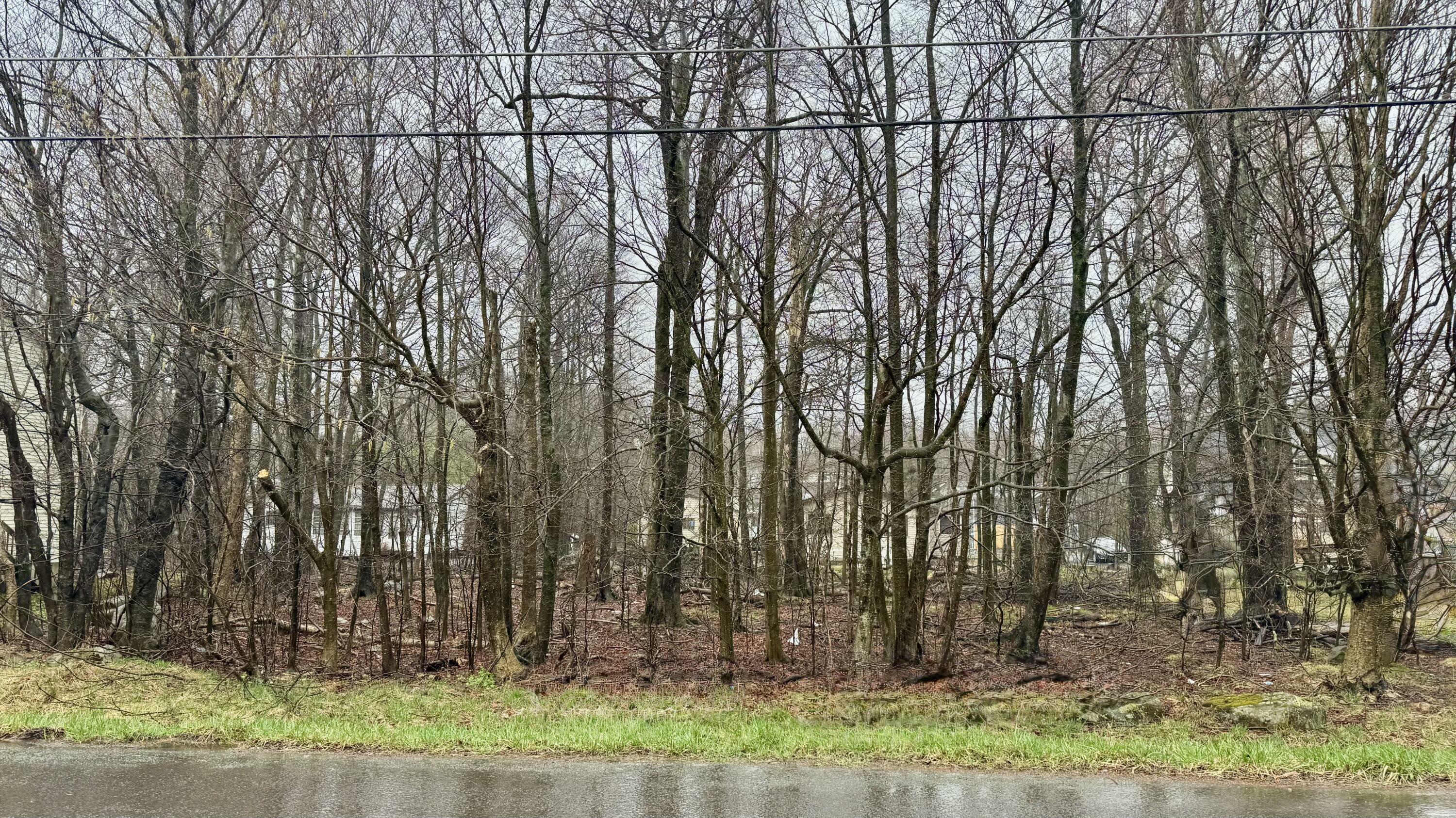 Property Photo: Horshoe Bend 554 PA 18466