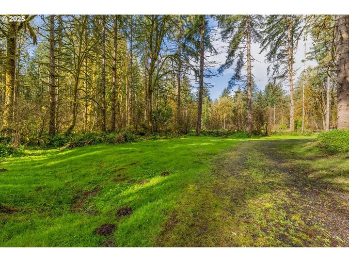 Property Photo:  171 Deer Park Ln  WA 98591 