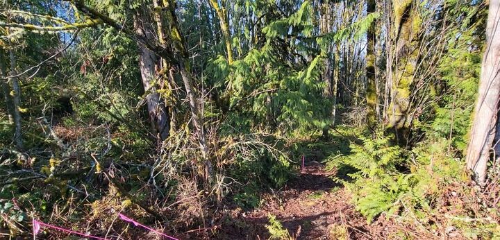 Property Photo:  0  Nevada Ave & Michigan Street  WA 98353 