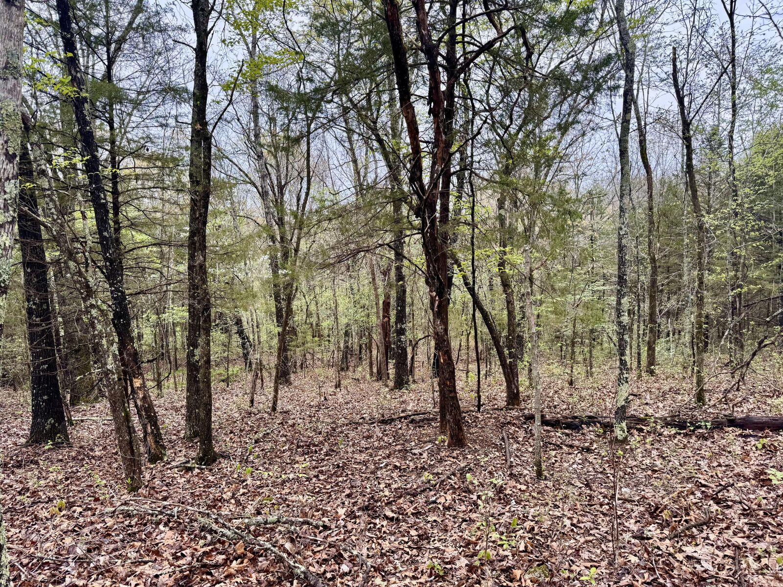 Property Photo:  Tbd State Highway U  MO 65704 